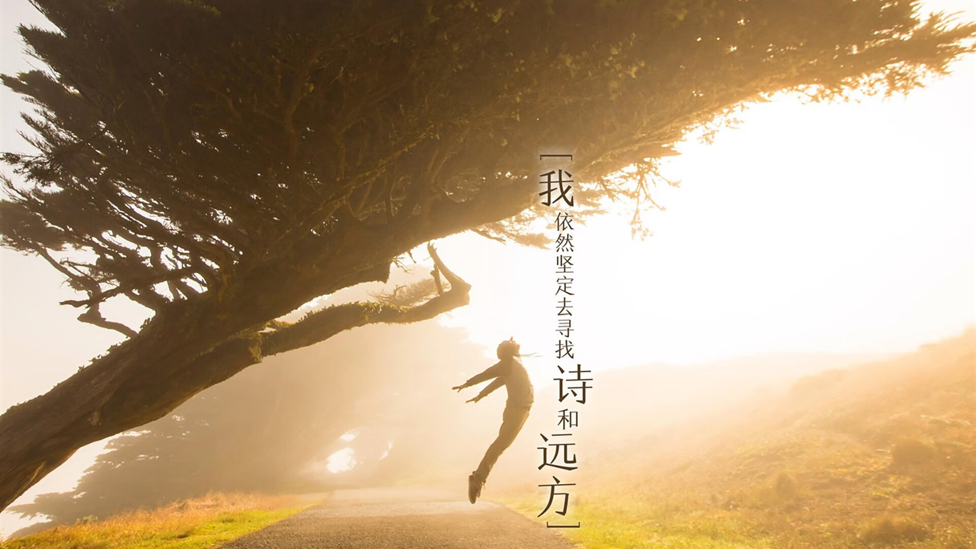 开云体育娱乐-NBA联盟跨季转会制度对球队稳定性的影响，新赛季nba转会