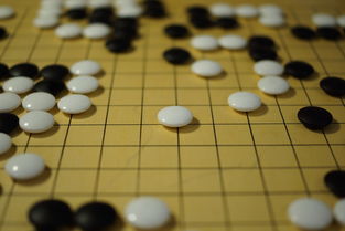 开云官方网-世界围棋赛青年选手战术成熟引热议,2020世界围棋