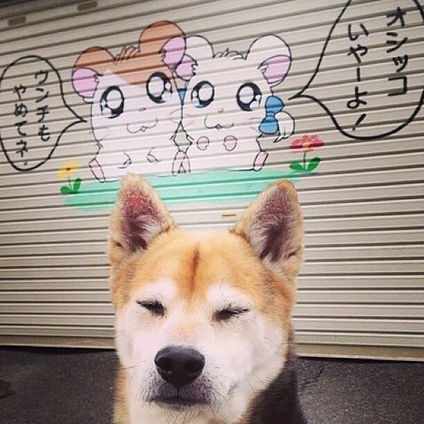 开云体育官网app-中国女篮全力冲刺赛季冠军,中国女篮全力冲刺赛季冠军是谁 第1张 开云体育官网app-中国女篮全力冲刺赛季冠军,中国女篮全力冲刺赛季冠军是谁 第1张