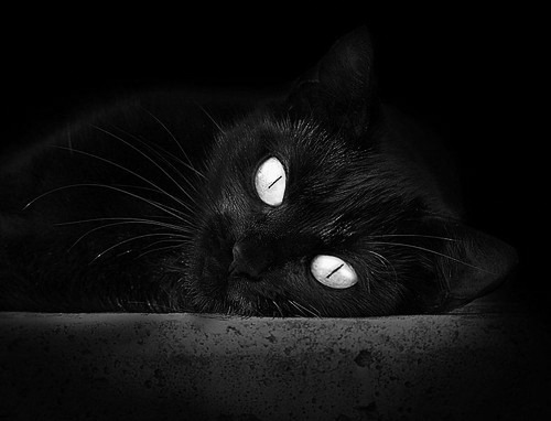 开云体育app-中国女篮新援融入快速 增强球队战斗力,中国女篮新人辈出 第1张 开云体育app-中国女篮新援融入快速 增强球队战斗力,中国女篮新人辈出 第1张