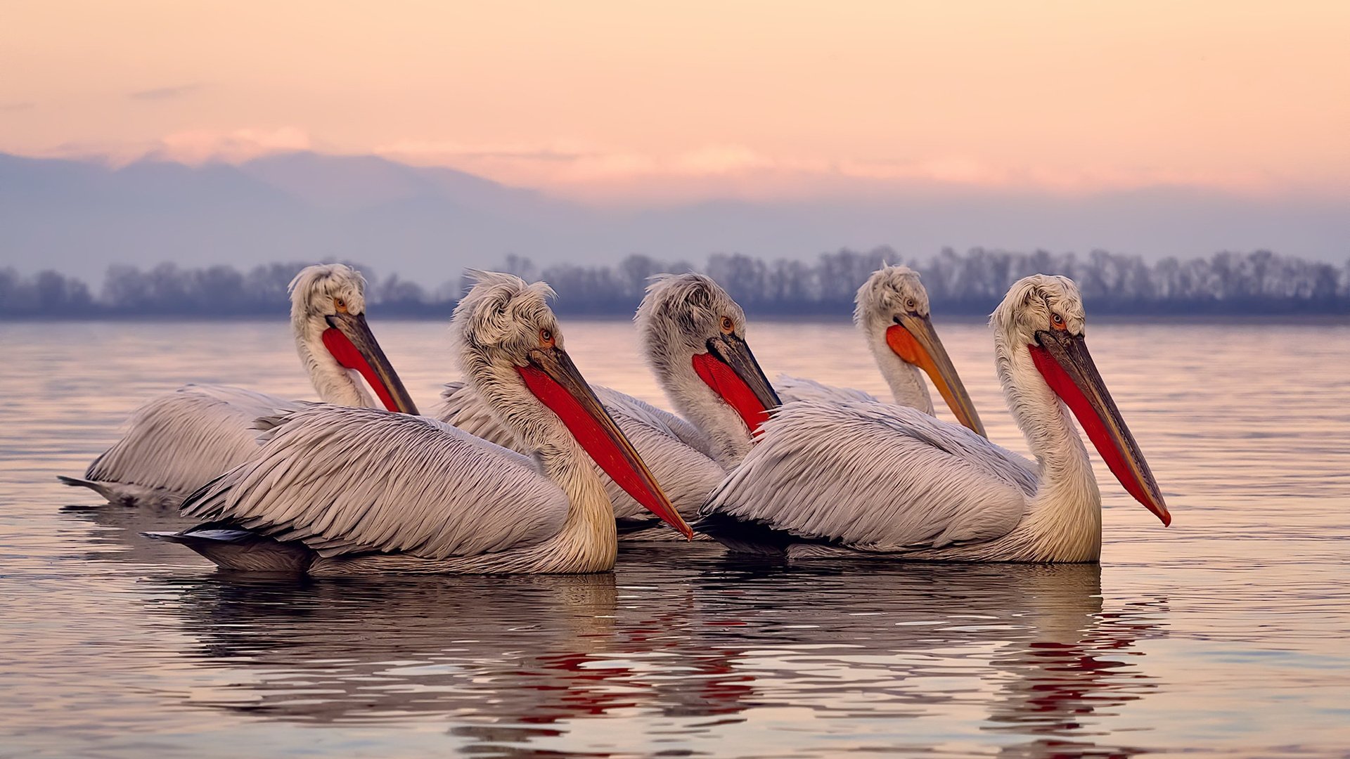 开云体育在线官网-后场双核配合默契度排行榜,后场核心 第2张 开云体育在线官网-后场双核配合默契度排行榜,后场核心 第2张