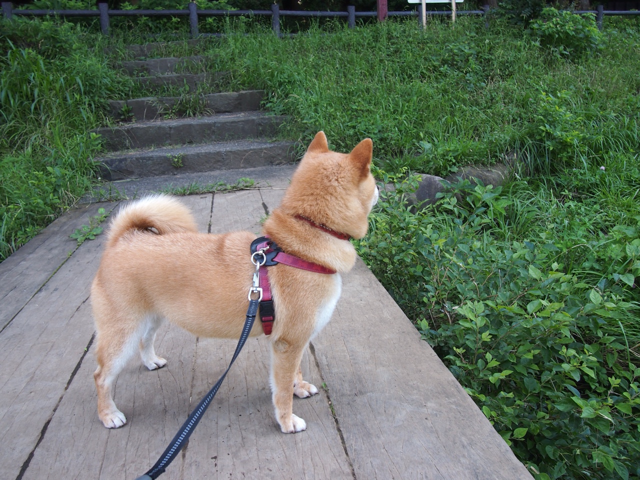 开云体育app官网-自由泳滑行段距离延长明显,自由泳滑行动作巧的视频 第1张 开云体育app官网-自由泳滑行段距离延长明显,自由泳滑行动作巧的视频 第1张