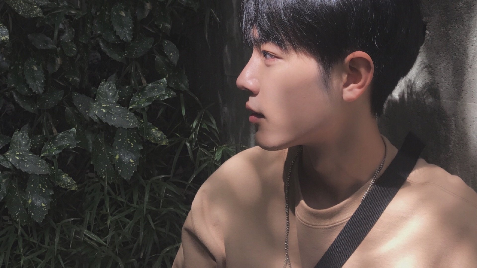 开云体育app官网-自由泳滑行段距离延长明显,自由泳滑行动作巧的视频 第3张 开云体育app官网-自由泳滑行段距离延长明显,自由泳滑行动作巧的视频 第3张