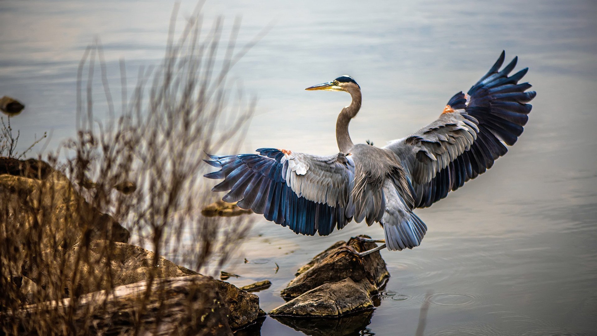 开云体育app注册-中国足球青训基地教练队伍建设不断强化，中国足球青训营